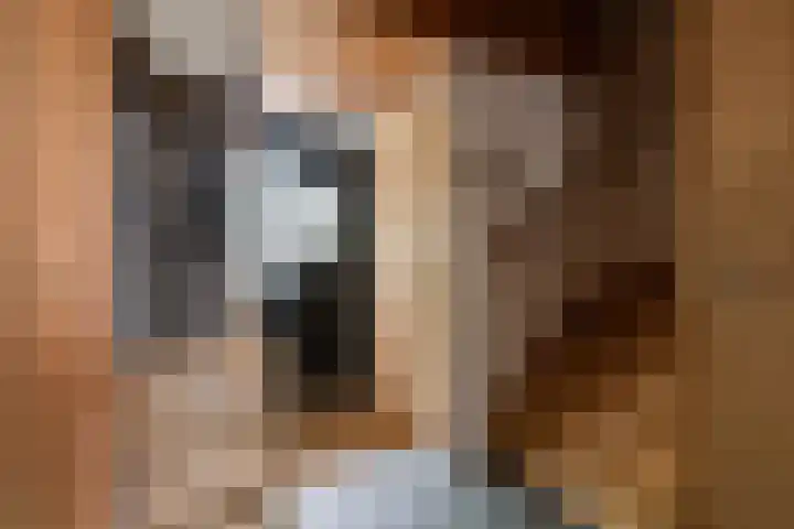 Herfstlaan 23 Alphen aan den Rijn thumbnail 5