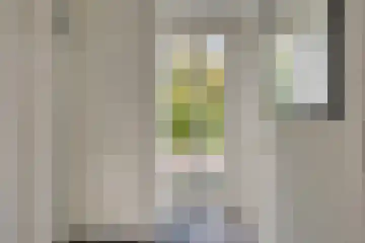 Herfstlaan 4 Alphen aan den Rijn thumbnail 11