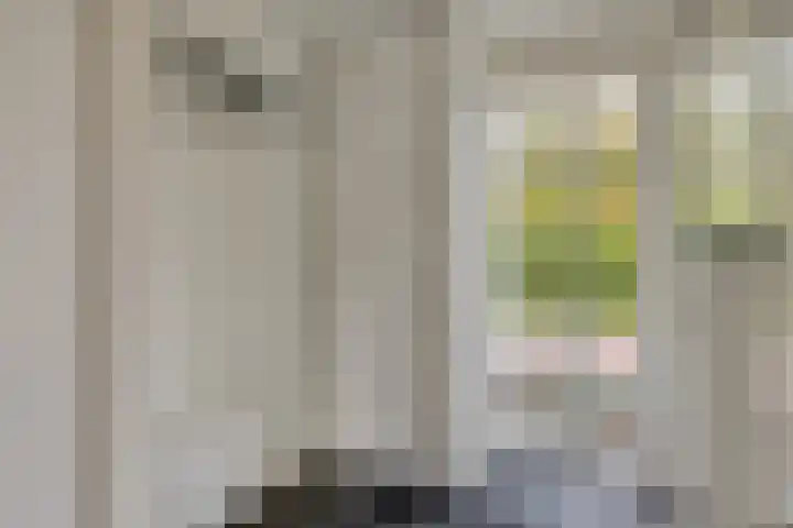 Herfstlaan 4 Alphen aan den Rijn thumbnail 12