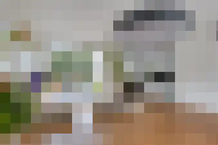 Herfstlaan 4 Alphen aan den Rijn thumbnail 17