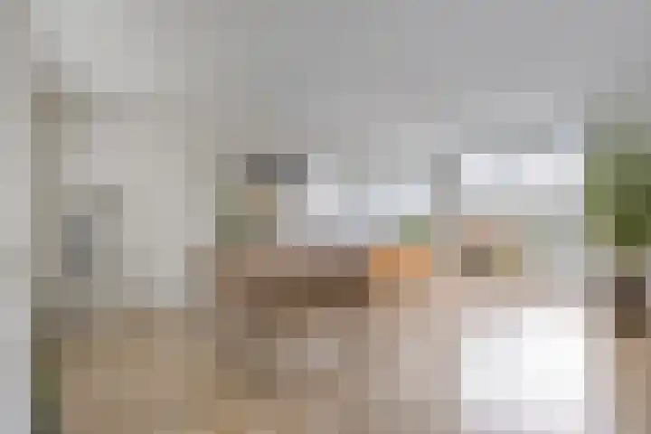 Herfstlaan 4 Alphen aan den Rijn foto 2