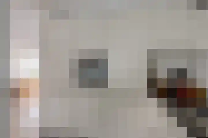 Herfstlaan 4 Alphen aan den Rijn thumbnail 21