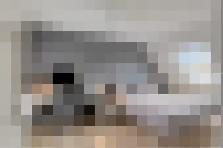 Herfstlaan 4 Alphen aan den Rijn thumbnail 27