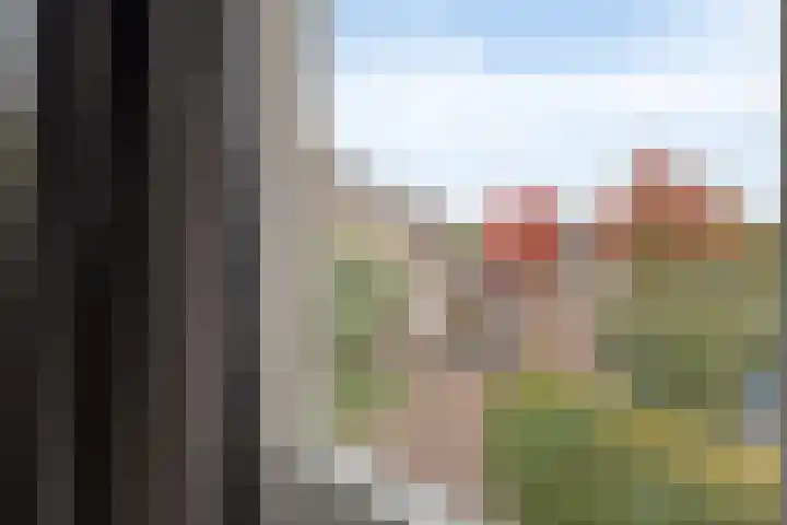 Herfstlaan 4 Alphen aan den Rijn thumbnail 31