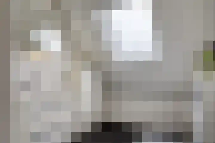 Herfstlaan 4 Alphen aan den Rijn thumbnail 32