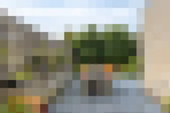 Herfstlaan 4 Alphen aan den Rijn thumbnail 38