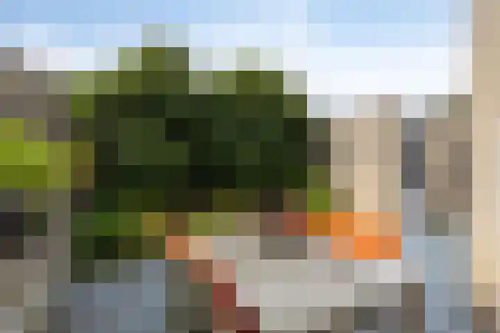 Herfstlaan 4 Alphen aan den Rijn thumbnail 39