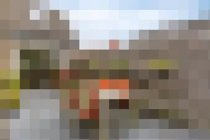 Herfstlaan 4 Alphen aan den Rijn thumbnail 40