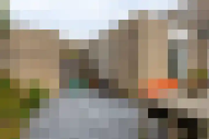 Herfstlaan 4 Alphen aan den Rijn thumbnail 42