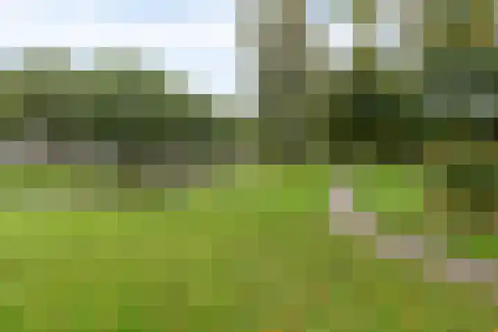Herfstlaan 4 Alphen aan den Rijn thumbnail 45