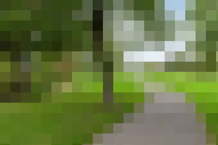 Herfstlaan 4 Alphen aan den Rijn thumbnail 46