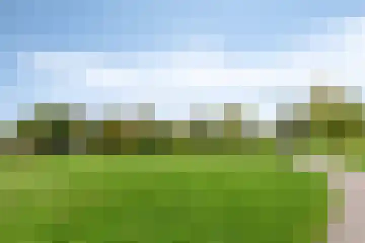 Herfstlaan 4 Alphen aan den Rijn thumbnail 47