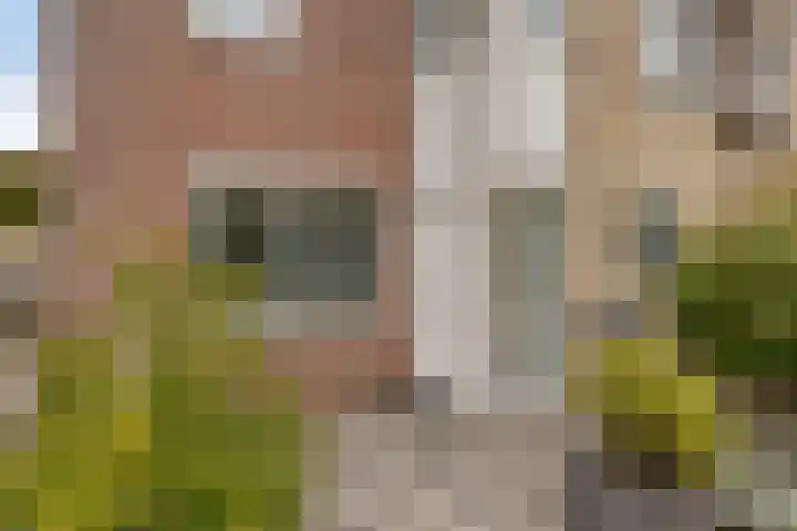 Herfstlaan 4 Alphen aan den Rijn thumbnail 8