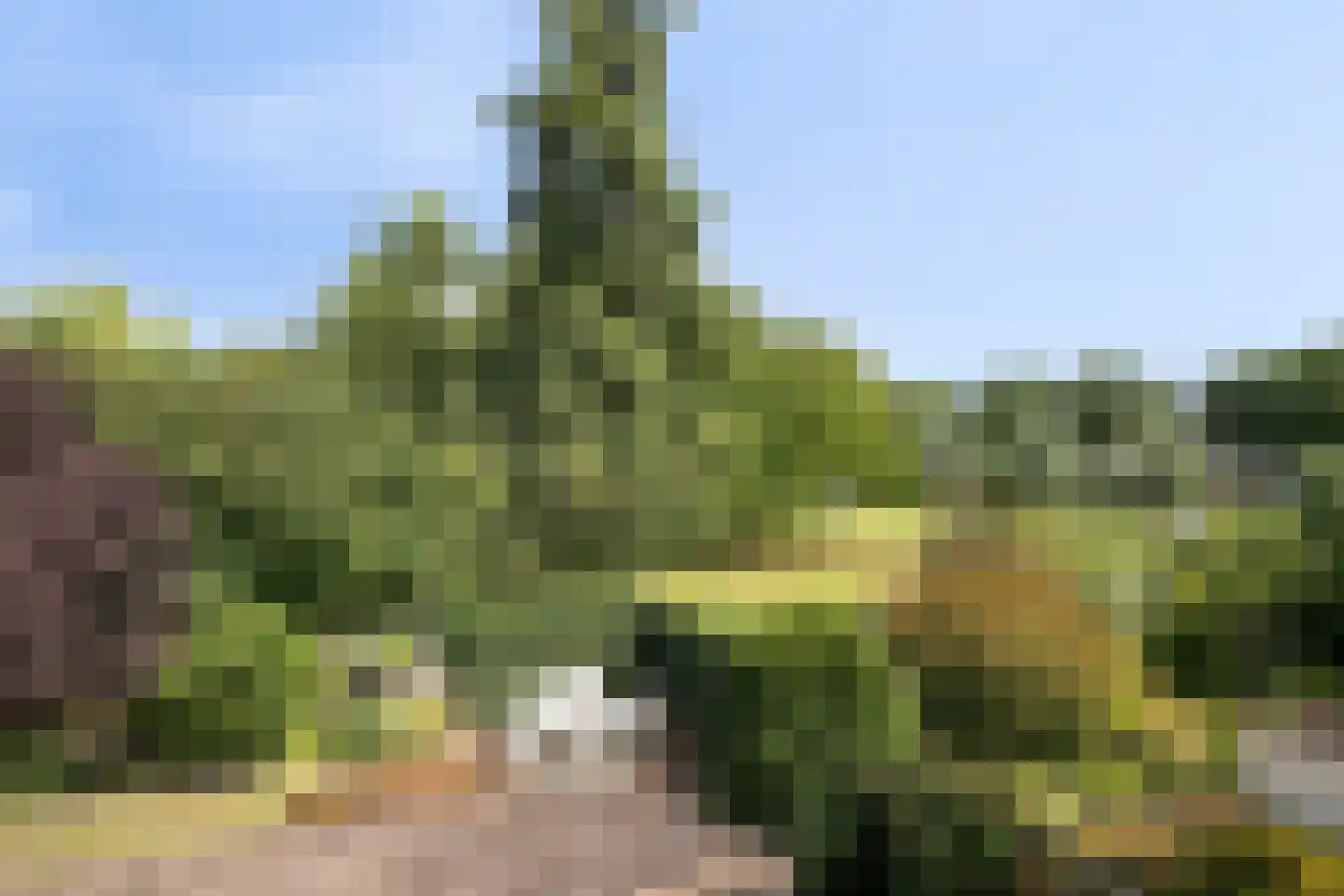 Herfstlaan 49 Alphen aan den Rijn thumbnail 48