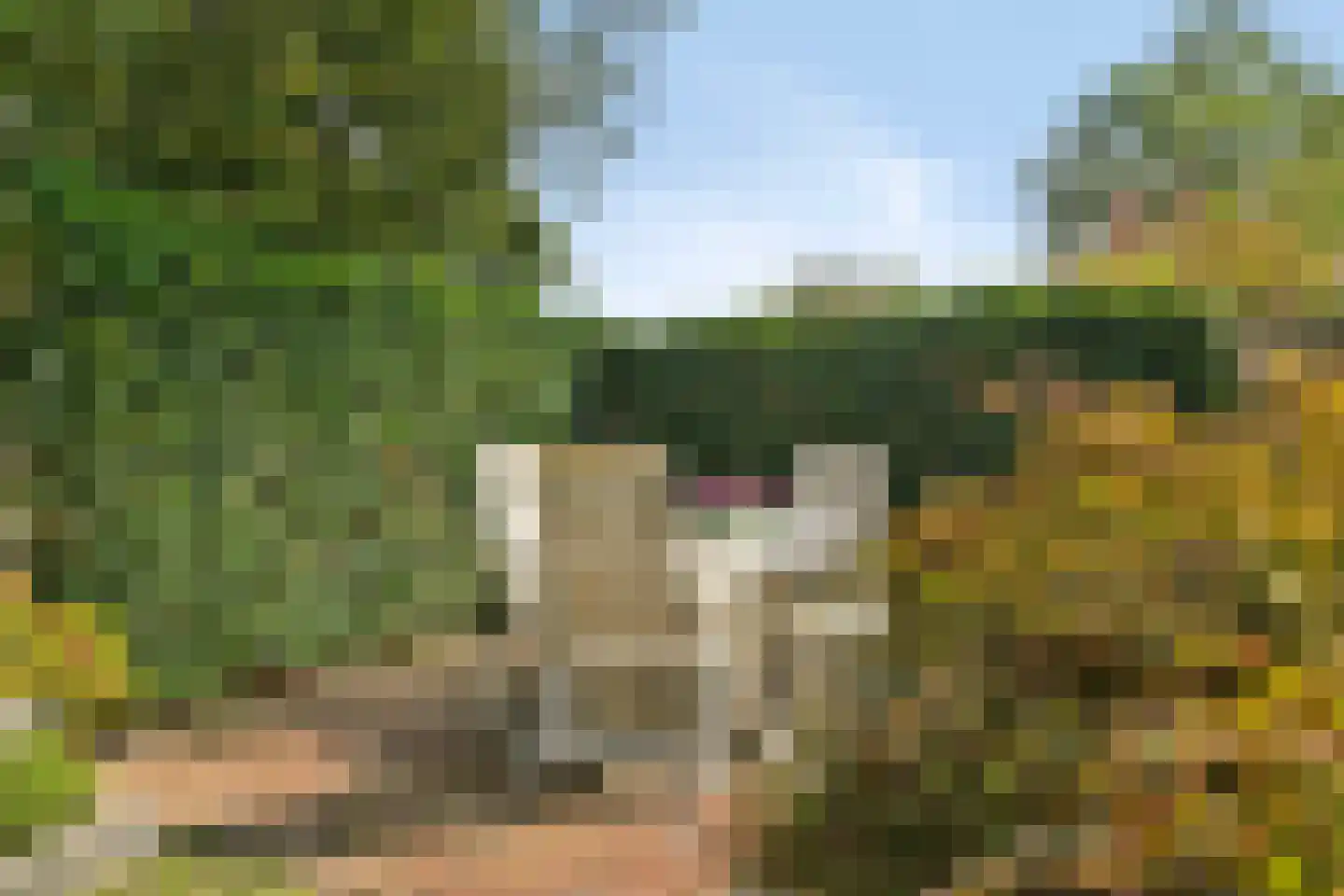 Herfstlaan 49 Alphen aan den Rijn thumbnail 52