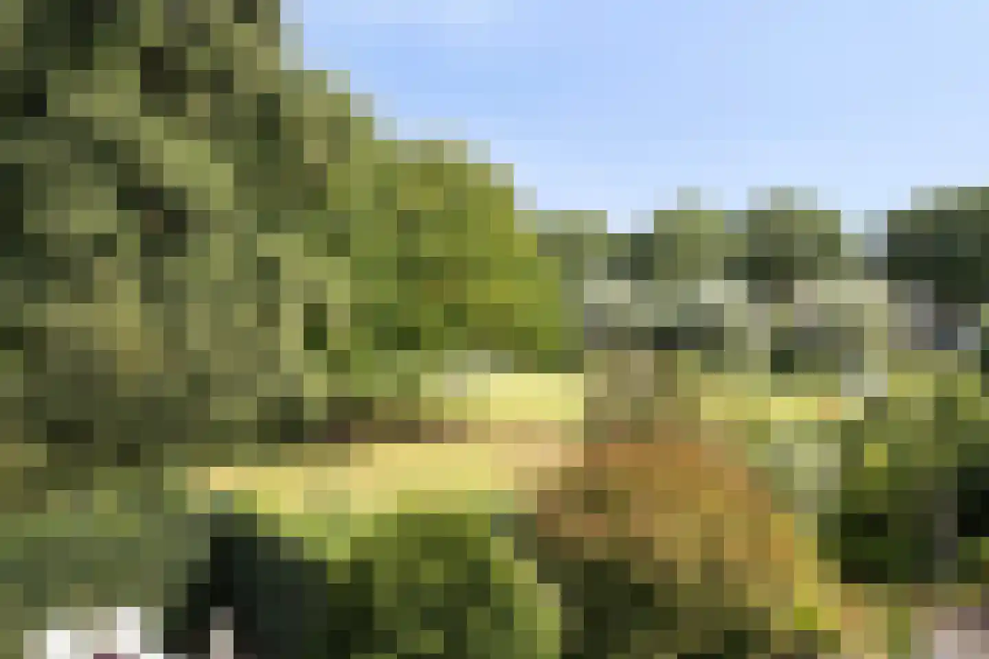 Herfstlaan 49 Alphen aan den Rijn thumbnail 61
