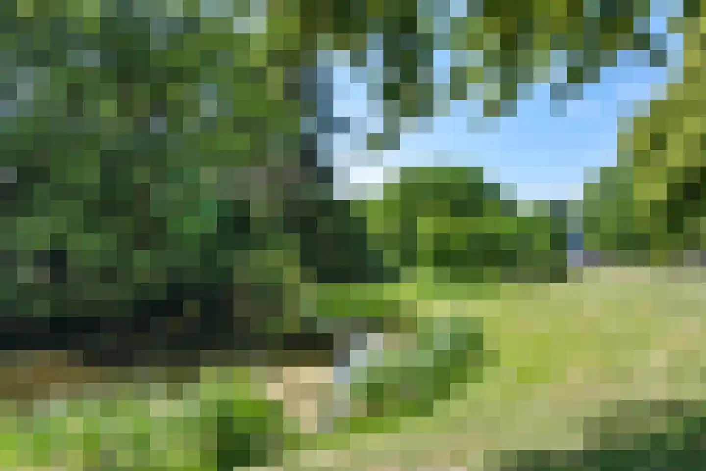Herfstlaan 6 Heemstede thumbnail 58