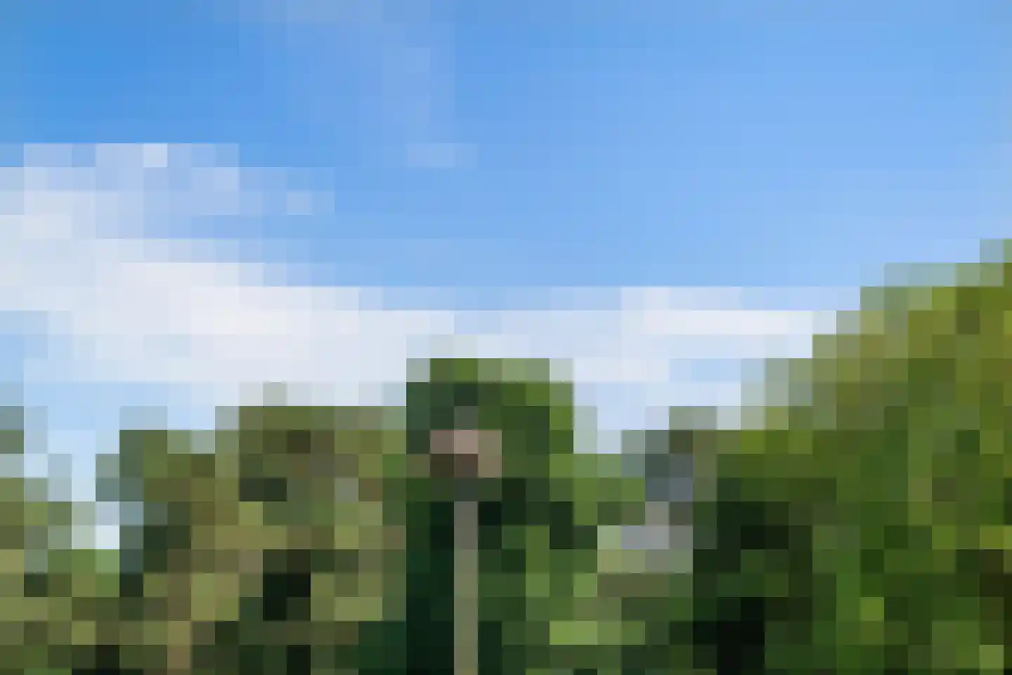 Herfstlaan 6 Heemstede thumbnail 63