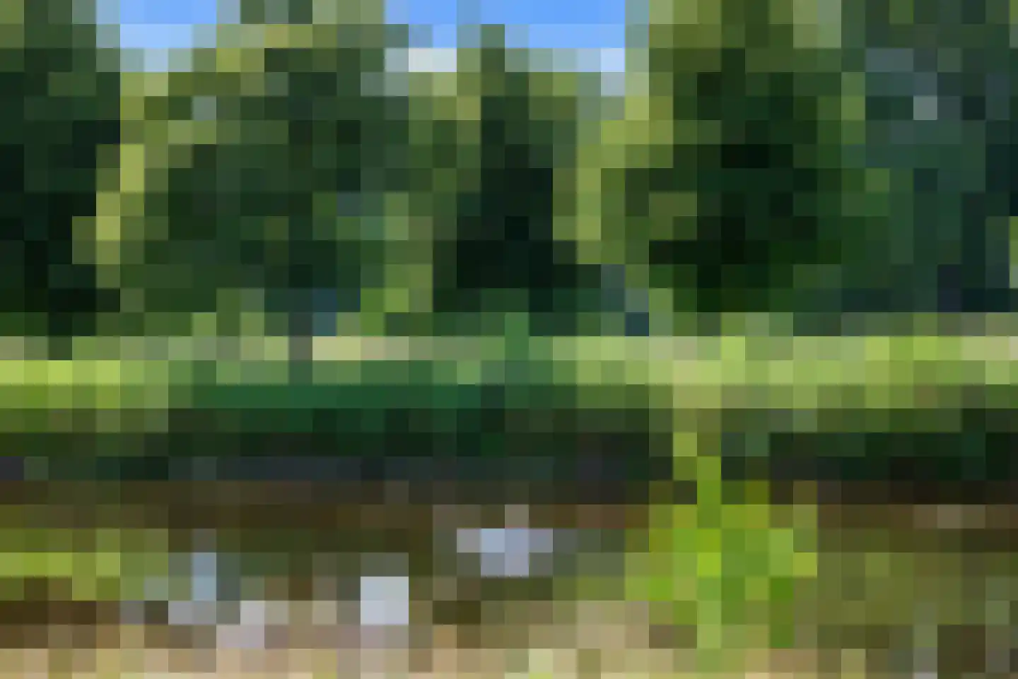 Herfstlaan 6 Heemstede thumbnail 65