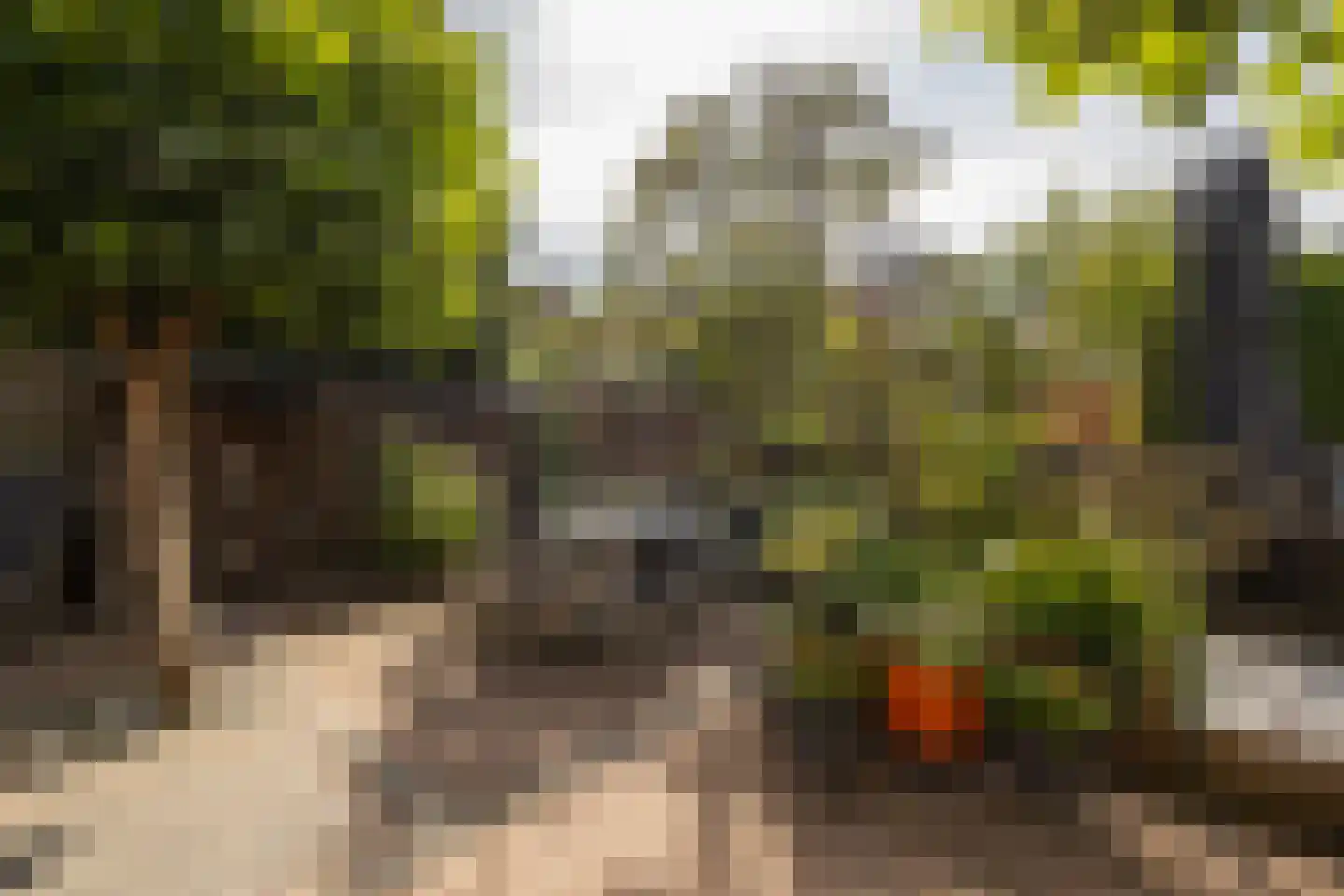 Herfstlaan 61 Alphen aan den Rijn thumbnail 21