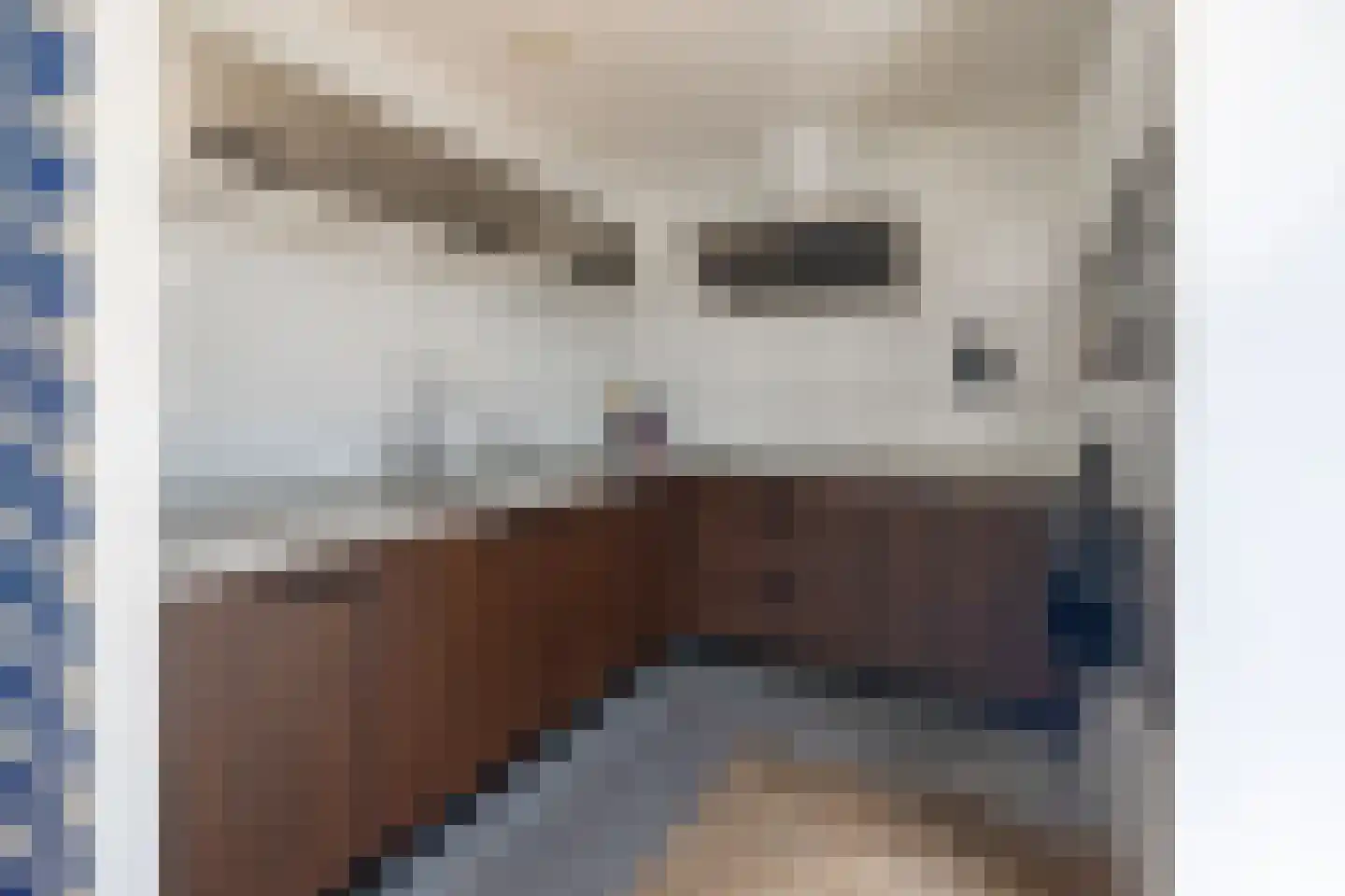Herfstlaan 61 Alphen aan den Rijn thumbnail 9