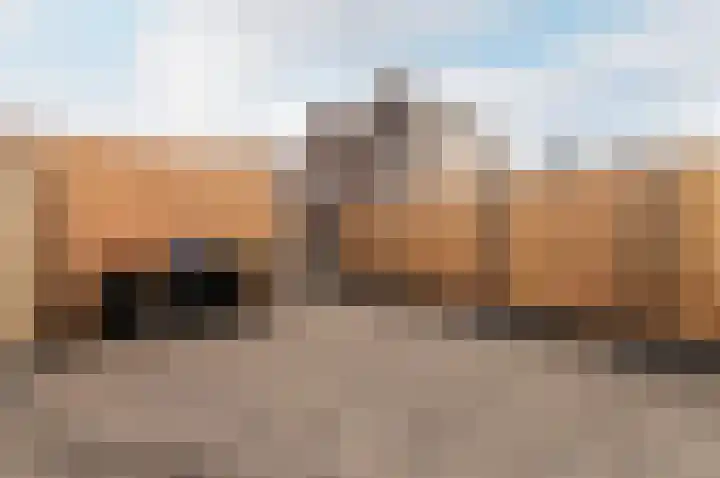 Herfstorchidee 5 Lelystad thumbnail 33