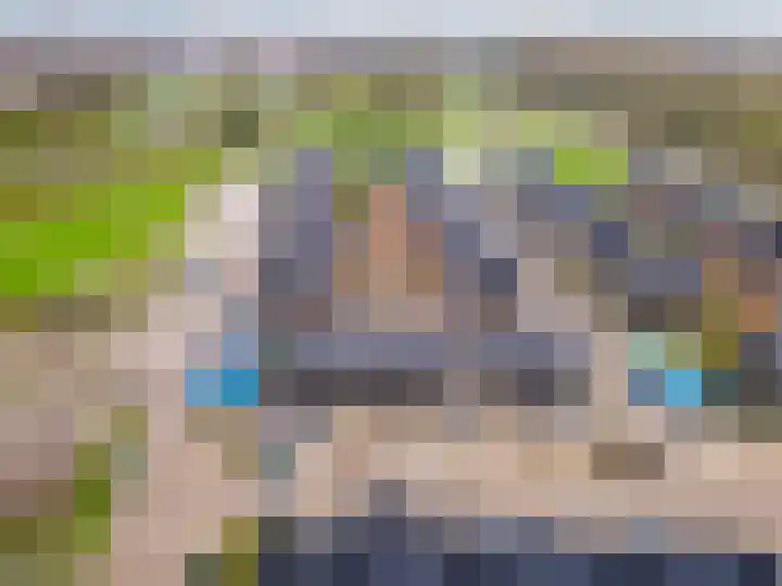 Herfstorchidee 5 Lelystad thumbnail 38