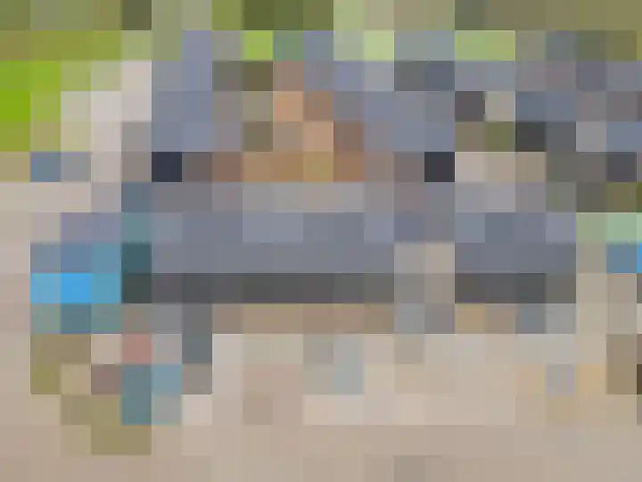 Herfstorchidee 5 Lelystad thumbnail 7