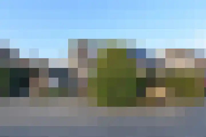 Herfsttijloos 1 dans Nootdorp