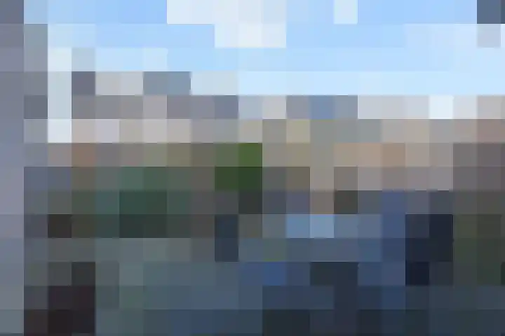 Herfsttijloos 1 Nootdorp thumbnail 12