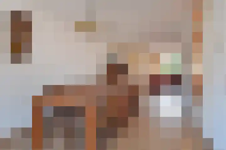 Herfsttijloos 1 Nootdorp thumbnail 19