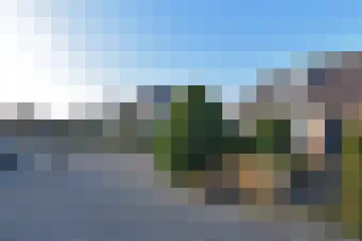 Herfsttijloos 1 Nootdorp thumbnail 36