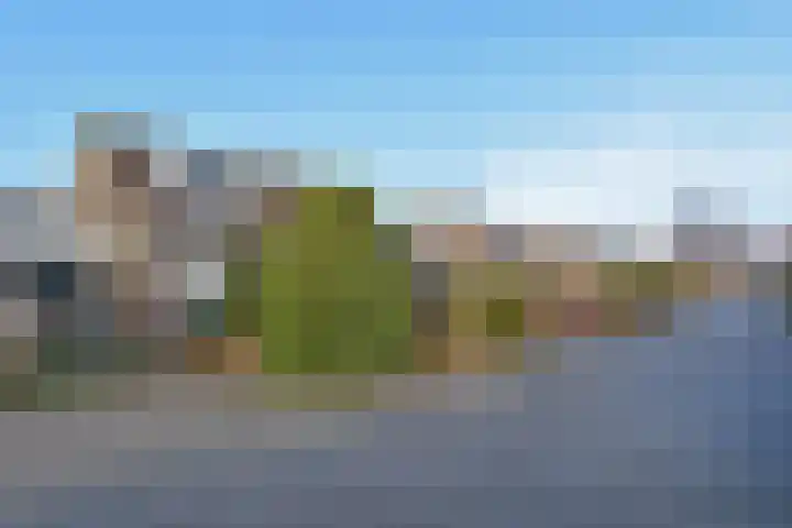 Herfsttijloos 1 Nootdorp thumbnail 37