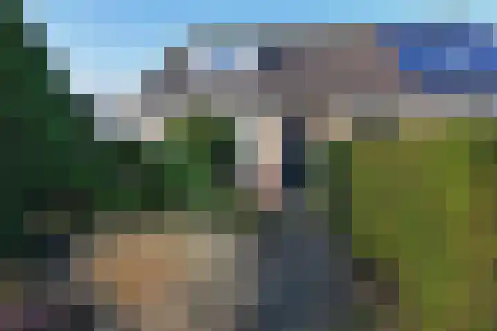 Herfsttijloos 1 Nootdorp thumbnail 38
