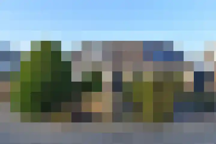 Herfsttijloos 1 Nootdorp thumbnail 6