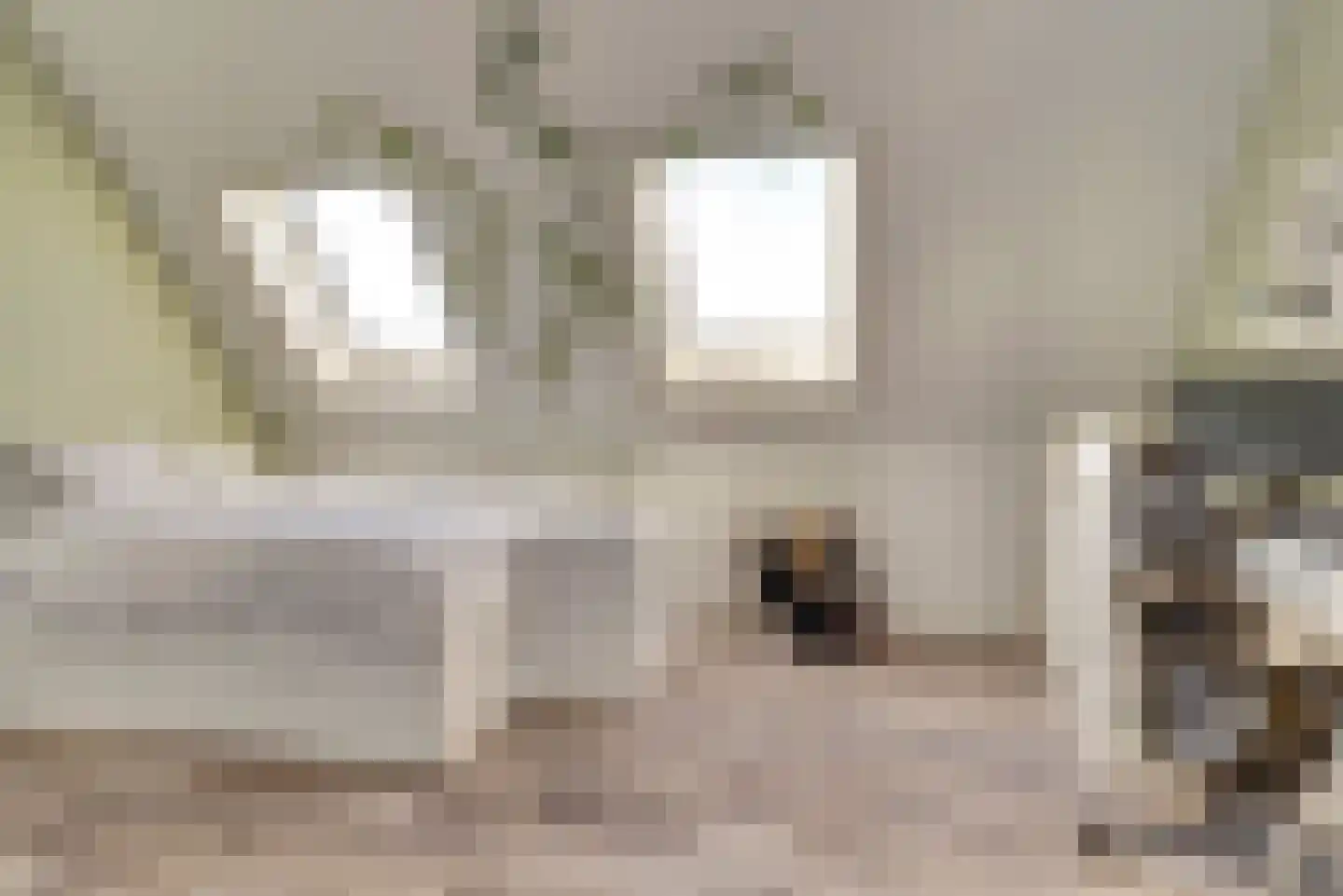 Herfsttooi 21 Arnhem thumbnail 23