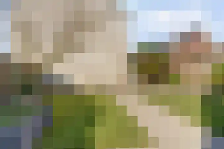 Herfsttooi 21 Arnhem thumbnail 25
