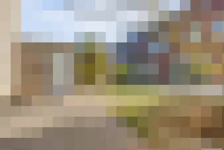 Herfsttooi 21 Arnhem thumbnail 26