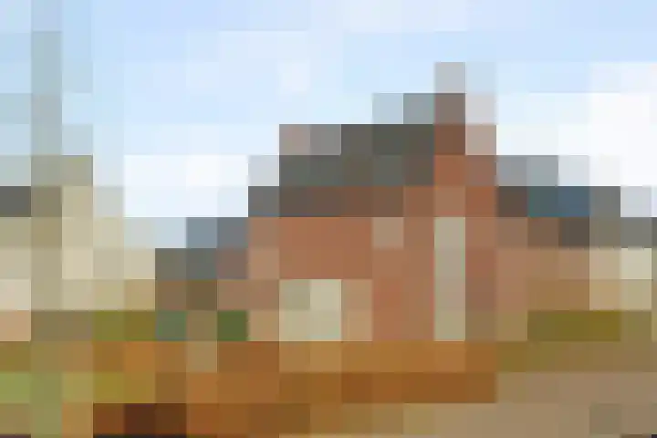 Herfsttooi 21 Arnhem thumbnail 31