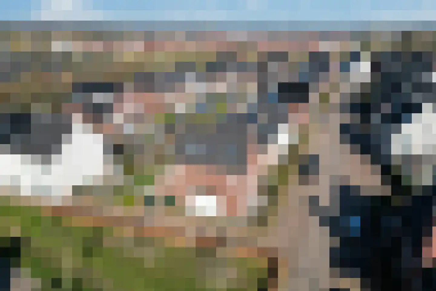 Herfsttooi 21 Arnhem thumbnail 32