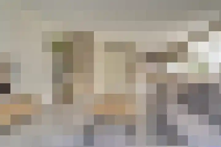 Herfsttooi 21 Arnhem thumbnail 4