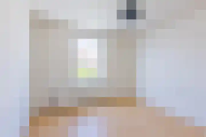 Herfsttooi 27 Arnhem thumbnail 13