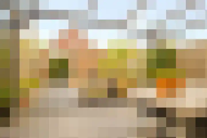 Herfsttooi 27 Arnhem thumbnail 28