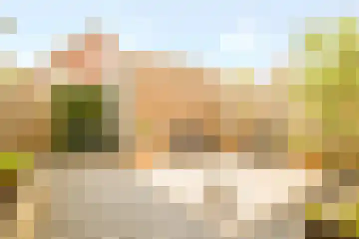 Herfsttooi 27 Arnhem thumbnail 29