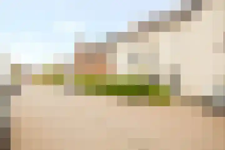 Herfsttooi 27 Arnhem thumbnail 32