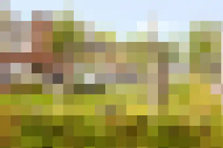 Herfsttooi 27 Arnhem thumbnail 35