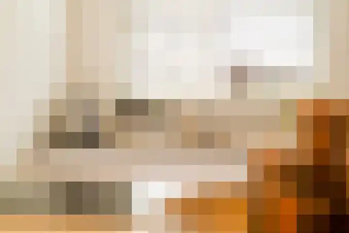 Herfsttooi 27 Arnhem thumbnail 8