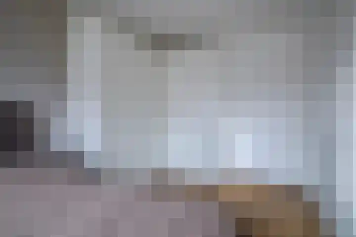 Herfsttooi 34 Arnhem thumbnail 14