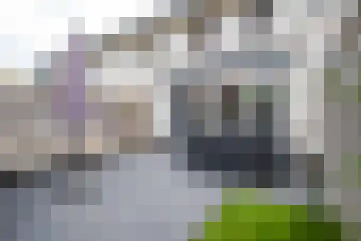 Herfsttooi 34 Arnhem thumbnail 24