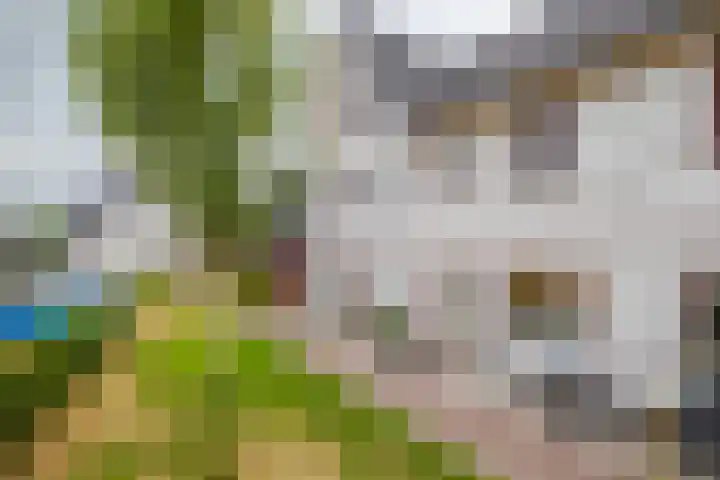 Herfsttooi 34 Arnhem thumbnail 25